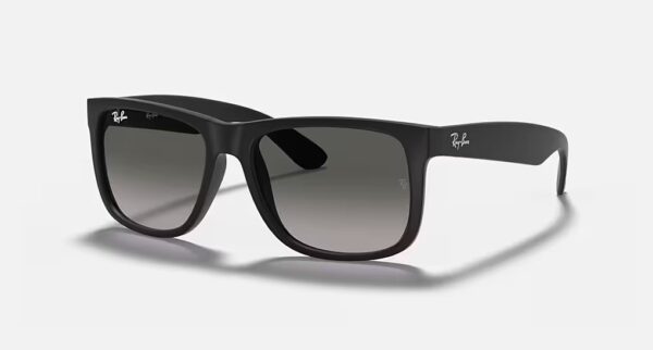 Ray-Ban Justin Classic Sunglasses