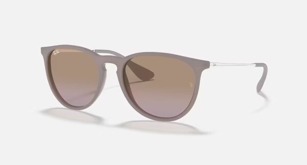 Ray-Ban Erika Classic Sunglasses